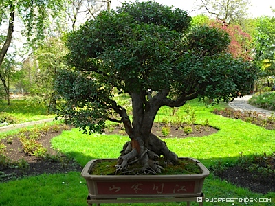 Budapest Botanical Garden