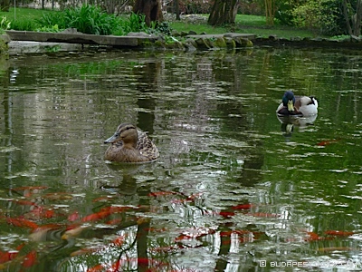 Budapest Botanical Garden