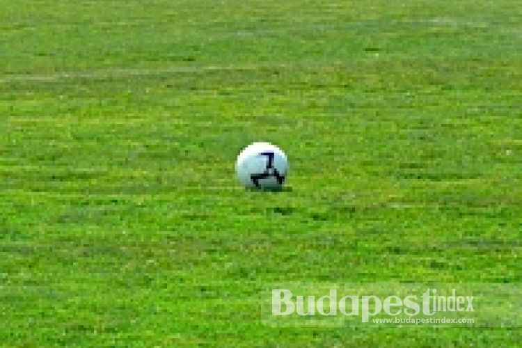 Sports Bars in Budapest