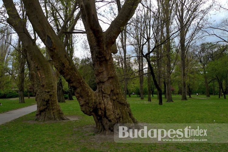 City Park of Budapest