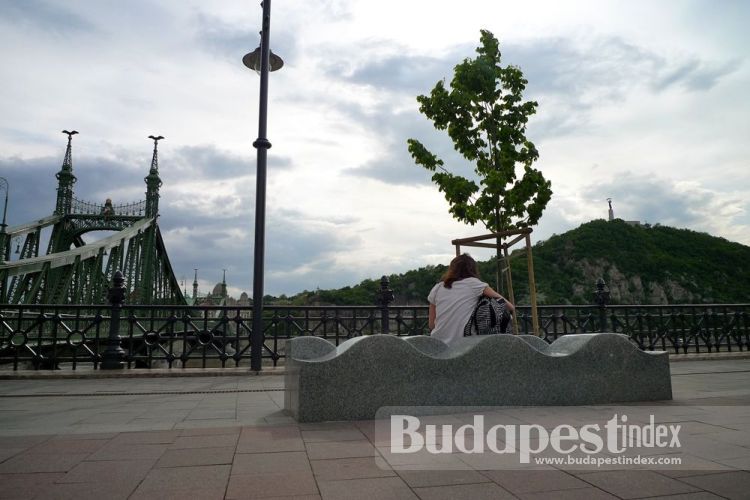 Liberty Bridge, Budapest