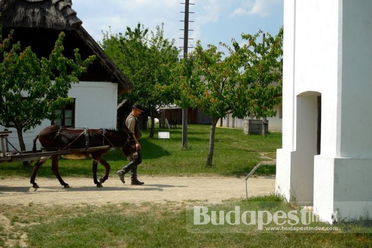 Skanzen Museum